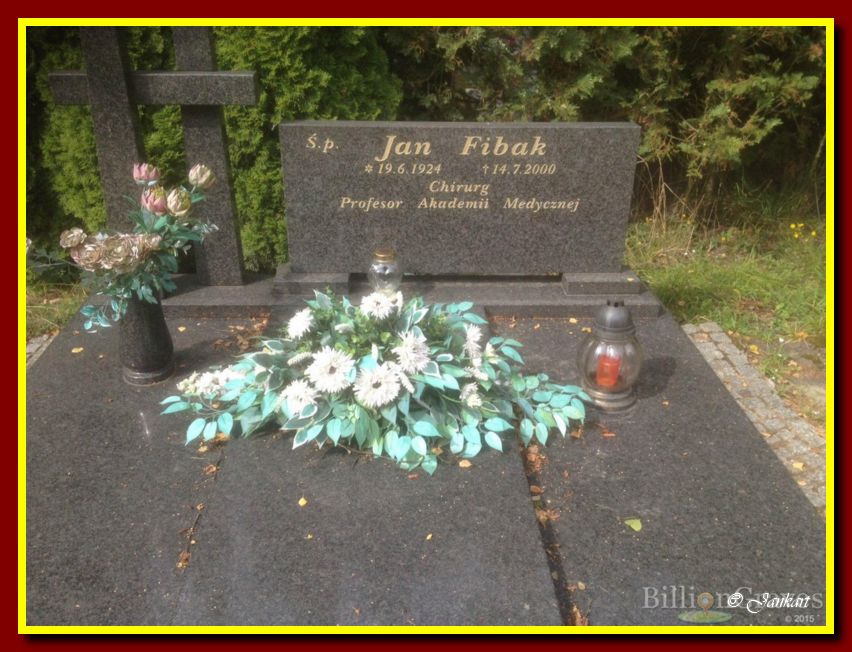 Fibak J.